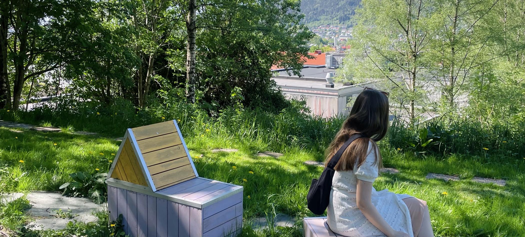 Fargerike benker p&aring; en gresseng.