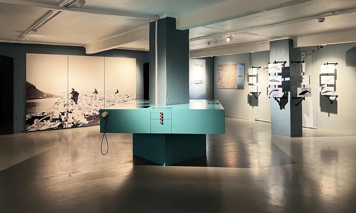 Hvalfangstmuseet - Nestenutryddelsen - Utstilling