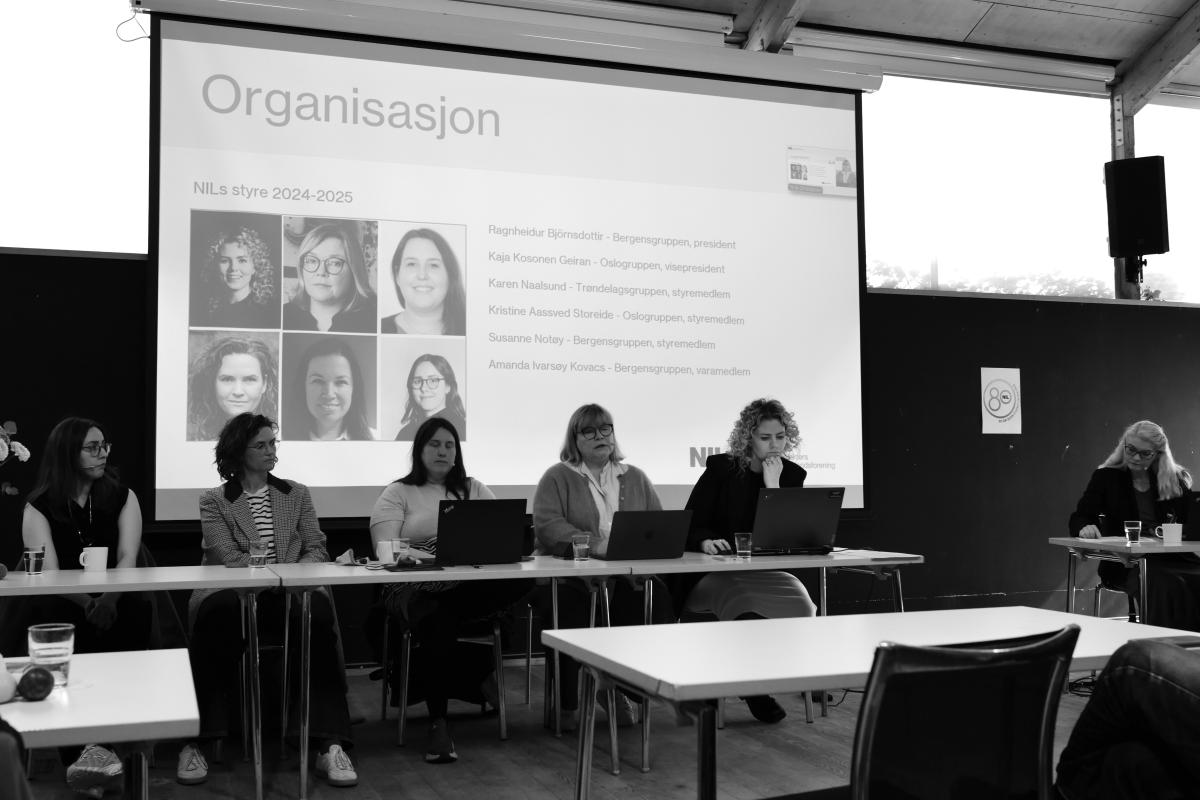 Styret i NIL_landsmøte 2025