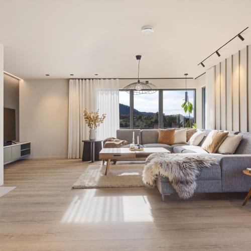 Enebolig i Åfjord_interiør stue